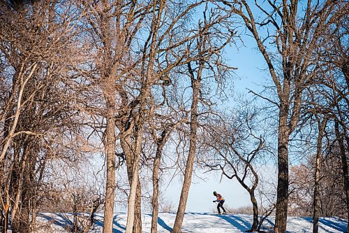 MIKAELA MACKENZIE / FREE PRESS

Skate skiers fly along the trails on a the bluebird day at Windsor Park Nordic Centre on Tuesday, March 5, 2024. 

Standup.