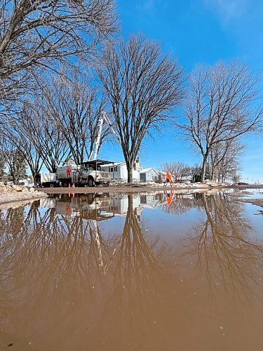 Elm trees in the process of being trimmed back by a pair of City of Brandon arborists are reflected in the spring meltwater gathered at the corner of Kirkcaldy Drive and Third Street on Monday afternoon. (Matt Goerzen/The Brandon Sun)