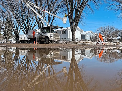 The arm of an aerial work platformed operated by a City of Brandon arborist in the process of pruning elm trees is reflected in the spring meltwater gathered at the corner of Third Street and Kirkcaldy Drive on Monday afternoon. (Matt Goerzen/The Brandon Sun)