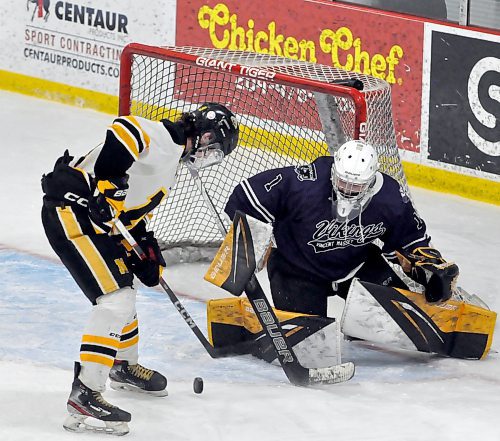 Facing 49 shots in Game 3, Vincent Massey Vikings goalie Casey Berry thwarts this Neepawa Tigers player in close during second period action. (Jules Xavier/The Brandon Sun)