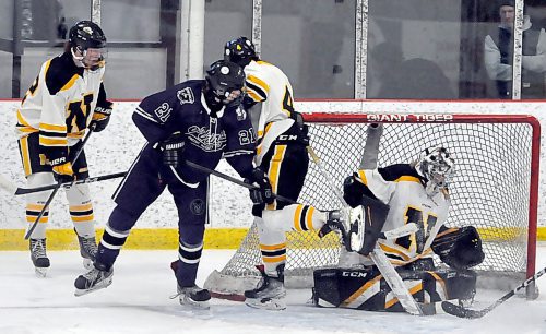 Despite being closely checked, Vincent Massey Vikings forward Theron McGregor still managed to slip the puck under Neepawa Tigers goalie Harley Smith-Bellisle at 11:58 of the third period. The game-winner put the Vikings up 3-2 and allowed them to take the best-of-three series 2-1. (Jules Xavier/The Brandon Sun)