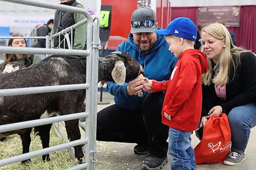 Three-and-a-half-year-old Lincoln Cuvelier feeds a goat in the the Royal Farm Yard petting zoo at the Royal Manitoba Winter Fair on Monday. (Michele McDougall/The Brandon Sun)  