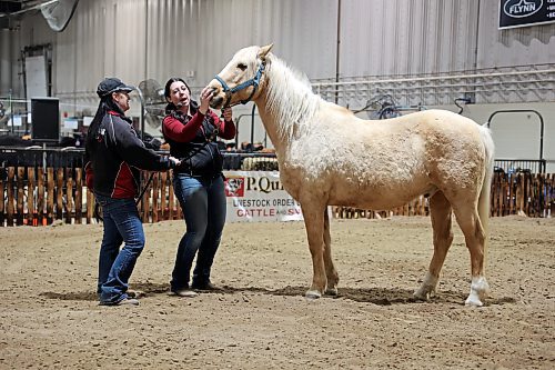 Chelsey Westerbeek gives a primer on equine first aid with the help of Trigger the horse at Flynn Arena on Tuesday morning at the Royal Manitoba Winter Fair. (Colin Slark/The Brandon Sun)