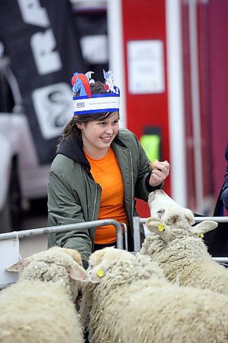 Rowan Powell feeds three hungry sheep at the Royal Petting Zoo on Tuesday afternoon during the second day of the Royal Manitoba Winter Fair. (Matt Goerzen/The Brandon Sun)