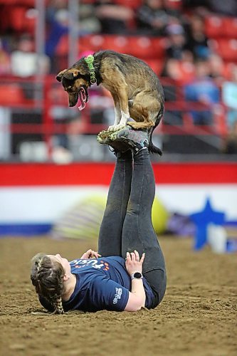 A trained dog with the WoofJocksstands on the soles of his trainer during a Tuesday afternoon performance in the Westoba Place Arena, during the second day of the Royal Manitoba Winter Fair. (Matt Goerzen/The Brandon Sun)