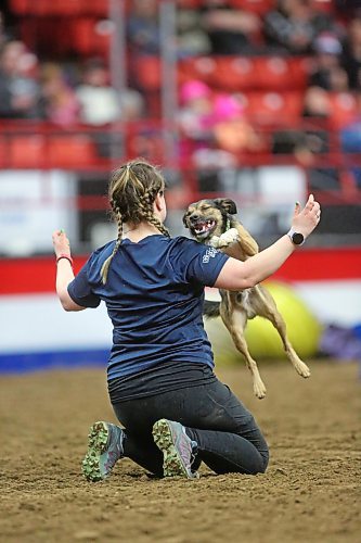 A trained dog with the WoofJocks jumps over the shoulder of his trainer during a Tuesday afternoon performance in the Westoba Place Arena, during the second day of the Royal Manitoba Winter Fair. (Matt Goerzen/The Brandon Sun)