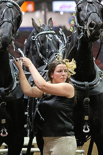 A handler with a heavy-horse team from Strathclair tries to calm a pair of lead horses during a Tuesday-evening performance as part of the Royal Manitoba Winter Fair. (Matt Goerzen/The Brandon Sun)