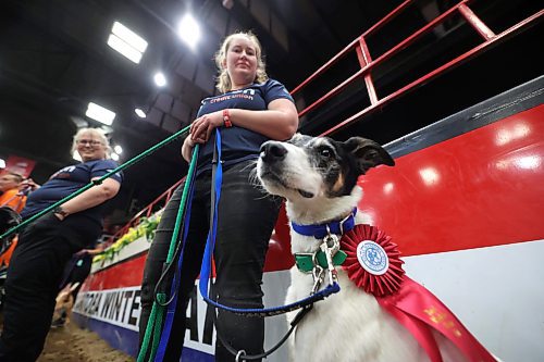 Zero, the first place winner in the Dog/Horse Relay on Wednesday evening, sports a red ribbon while posing with her handler Sara van Renselaar from Brandon during the Royal Manitoba Winter Fair. (Matt Goerzen/The Brandon Sun)