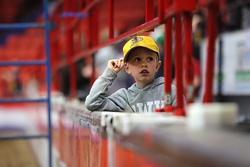 A young boy watches the action in the Westoba Place Arena during the Royal Manitoba Winter Fair Wednesday evening show. (Matt Goerzen/The Brandon Sun)