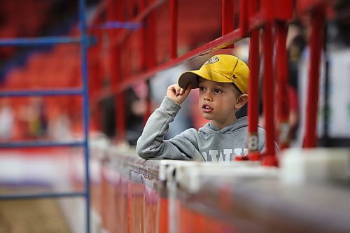 A young boy watches the action in the Westoba Place Arena during the Royal Manitoba Winter Fair Wednesday evening show. (Matt Goerzen/The Brandon Sun)