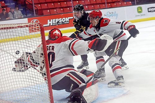 03042023
Brett Hyland #74 of the Brandon Wheat Kings tries to get a shot past goalie Jackson Unger #30 of the Moose Jaw Warriors during the first period of game three of first round playoff action at Westoba Place on Wednesday evening. 
(Tim Smith/The Brandon Sun)