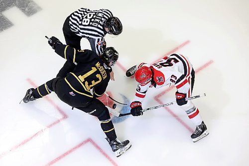 03042023
Roger McQueen #13 of the Brandon Wheat Kings and Matthew Savoie #93 of the Moose Jaw Warriors face off during the second period of game three of first round playoff action at Westoba Place on Wednesday evening. 
(Tim Smith/The Brandon Sun)