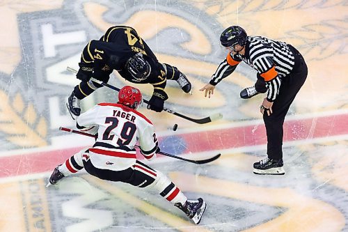 03042023
Jayden Wiens #14 of the Brandon Wheat Kings and Brayden Yager #29 of the Moose Jaw Warriors face off during the second period of game three of first round playoff action at Westoba Place on Wednesday evening. 
(Tim Smith/The Brandon Sun)