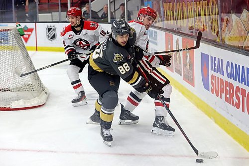 Brandon's Matteo Michels scoops up the puck behind the net. (Tim Smith/The Brandon Sun)