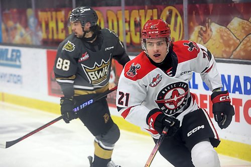 03042023
Aiden Ziprick #30 of the Moose Jaw Warriors during the second period of game four of first round playoff action against the Brandon Wheat Kings at Westoba Place on Wednesday evening. 
(Tim Smith/The Brandon Sun)