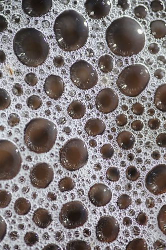 Patterns of bubbles glinting in the bright sunshine go with the flow on top of meltwater in a ditch down Grand Valley Road west of Brandon on Friday morning. (Matt Goerzen/The Brandon Sun)