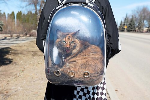 Mystique hitches a ride in a special backpack worn by Buhler. (Tim Smith/The Brandon Sun)