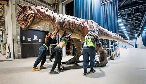 Ruth Bonneville / Free Press

ENT - dinos,  Preview of Jurassic Quest

Stage crews push a replica of a carnotaurus into the main showroom in preparation for Jurassic Quest, an interactive animatronic dinosaur experience running this weekend at the Convention Centre.RBC Convention Centre

Dinosaur Trainer, Samira Lyons, in the  exhibition space where dinos are getting assembled and brought to life Thursday in preparation for the show.   


Eva Wasney'a story

April 11th,  2024
