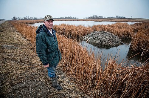 JOHN WOODS / FREE PRESS
Don Guilford, a cattle farmer near Clearwater who conserves wetland on his property is photographed on his ranch Tuesday, April 16, 2024. Guilford has entered into partnership with Ducks Unlimited to preserve the wetlands on his property

Reporter: JS