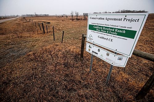 JOHN WOODS / FREE PRESS
Signage on Don Guilford&#x2019;s farm is photographed Tuesday, April 16, 2024. Don Guilford, a cattle farmer near Clearwater who conserves wetland on his property has entered into partnership with Ducks Unlimited to preserve the wetlands.

Reporter: JS