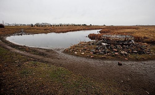 JOHN WOODS / FREE PRESS
A dam on Don Guilford&#x2019;s farm is photographed Tuesday, April 16, 2024. Don Guilford, a cattle farmer near Clearwater who conserves wetland on his property has entered into partnership with Ducks Unlimited to preserve the wetlands.

Reporter: JS