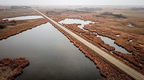JOHN WOODS / FREE PRESS
Wetland on Don Guilford&#x2019;s farm is photographed Tuesday, April 16, 2024. Don Guilford, a cattle farmer near Clearwater who conserves wetland on his property has entered into partnership with Ducks Unlimited to preserve the wetlands.

Reporter: JS