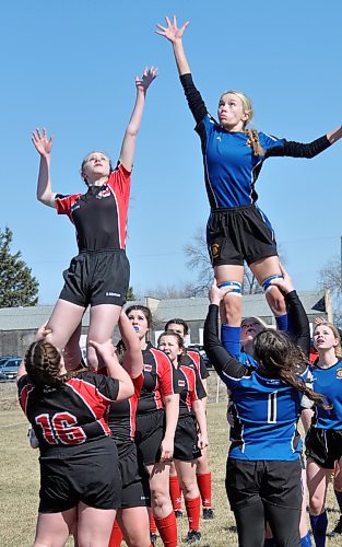 A Massey player has the advantage and height during a line-out play with Swan River opponent during Saturday afternoon rugby action at John Reilly Field. (Photos Jules Xavier/The Brandon Sun)