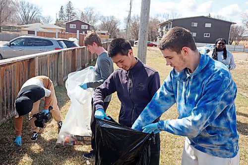 22042024
Students from Vincent Massey High School pick up garbage along McDiarmid Drive near Victoria Avenue on Monday for Earth Day. Students in teams for all three Brandon high schools fanned out to clean up garbage in the school neighbourhoods.  
(Tim Smith/The Brandon Sun)