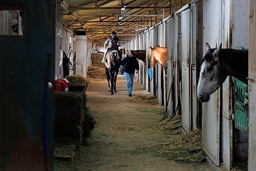 MIKE DEAL / FREE PRESS
Natalie guides Ziggy and her rider, Dario, through the barn as they head out for a run.
Natalie Gregory just graduated from the Horsemen&#x2019;s Benevolent and Protective Association (HBPA) Groom Training Program at Assiniboia Downs and landed a job with trainer Tiffany Husbands right away.
240424 - Wednesday, April 24, 2024.