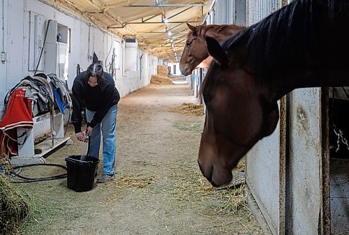 MIKE DEAL / FREE PRESS
Natalie fills a bucket with fresh water for the horses.
Natalie Gregory just graduated from the Horsemen&#x2019;s Benevolent and Protective Association (HBPA) Groom Training Program at Assiniboia Downs and landed a job with trainer Tiffany Husbands right away.
240424 - Wednesday, April 24, 2024.