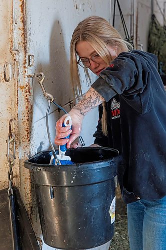 MIKE DEAL / FREE PRESS
Faith cleans a freshwater bucket before filling it for a horse.
Faith Slywchuk is a student in the Horsemen&#x2019;s Benevolent and Protective Association (HBPA) Groom Training Program at Assiniboia Downs.
240424 - Wednesday, April 24, 2024.
