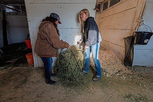 MIKE DEAL / FREE PRESS
Faith (right) and training instructor, Monique Goulet (left) work together to fill up a net holding feeding hay.
Faith Slywchuk is a student in the Horsemen&#x2019;s Benevolent and Protective Association (HBPA) Groom Training Program at Assiniboia Downs.
240424 - Wednesday, April 24, 2024.