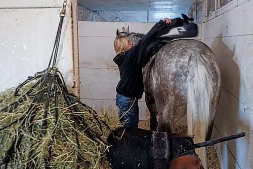 MIKE DEAL / FREE PRESS
Faith saddles up a horse so a jockey can take it out for a run.
Faith Slywchuk is a student in the Horsemen&#x2019;s Benevolent and Protective Association (HBPA) Groom Training Program at Assiniboia Downs.
240424 - Wednesday, April 24, 2024.
