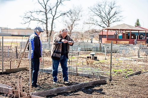 MIKAELA MACKENZIE / FREE PRESS

Henry and Rosemarie Martens take advantage of the warm spring day to start work on their plot at the Millennium community gardens on Wednesday, April 24, 2024. 


Standup.