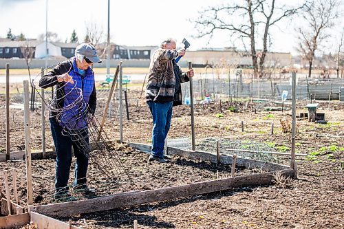 MIKAELA MACKENZIE / FREE PRESS

Henry and Rosemarie Martens take advantage of the warm spring day to start work on their plot at the Millennium community gardens on Wednesday, April 24, 2024. 


Standup.