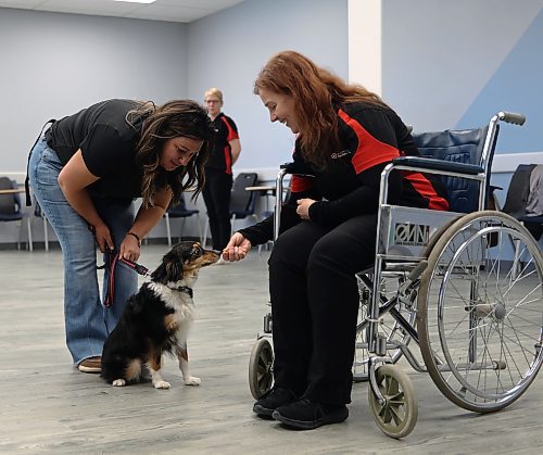 Cutline: Heather Heinrichs and her three-year-old miniature Australian shepherd named Paisley and Claire Mackley (right) from the St. John Ambulance’s Therapy Dog Program. Mackley is not a wheelchair user, but is an evaluator with the program and is judging to see how Paisley reacts to scenarios she would face in hospital, personal care home or school. (Michele McDougall/The Brandon Sun)