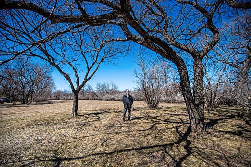 MIKAELA MACKENZIE / FREE PRESS
Brett Shenback, cemeteries administrator, at the space that will become the green burial site at Brookside cemetery on Tuesday, April 23, 2024.
For AV story.
