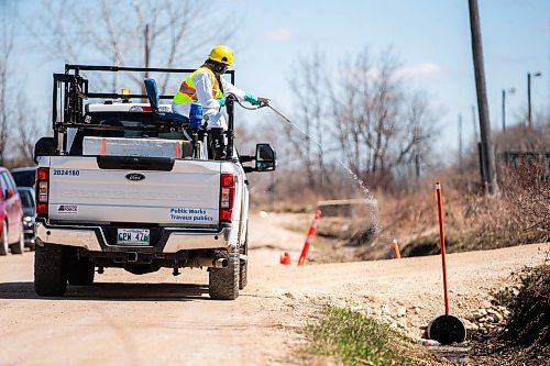 MIKAELA MACKENZIE / FREE PRESS

Ground crews demonstrate spraying a ditch during insect control season on Tuesday, April 30, 2024.  


For Malak story.