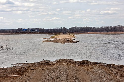 30042024
Flood water from the swollen Assiniboine River washes out a grid road off of Highway 250 north of Alexander on Tuesday.  (Tim Smith/The Brandon Sun)
