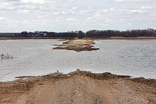 30042024
Flood water from the swollen Assiniboine River washes out a grid road off of Highway 250 north of Alexander on Tuesday.  (Tim Smith/The Brandon Sun)
