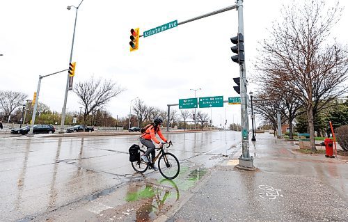 MIKE DEAL / FREE PRESS
A cyclist crosses Main Street at Assiniboine Avenue. There is a report at the public works meeting on Tuesday on closing part of Assiniboine to traffic for a pilot project.

240507 - Tuesday, May 07, 2024.