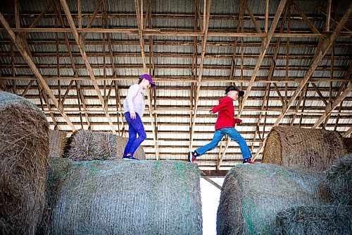 MIKAELA MACKENZIE / FREE PRESS

Karis (nine, left) and Kian (seven) Bouw play in the hay bales on Edie Creek Angus ranch near Anola on Wednesday, May 8, 2024. 


