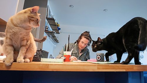 Ruth Bonneville / Free Press
49.8 - Creators - pet portraits
Journalist portraits of local artist, Annick Svistovski, working from home on painting portraits of pets from a photo her clients have provided for her. Her house cats love to hang around while she works.
Names of cats in this photo: Hawkins (orange) and Pea (black).
Story: 49.8 The Creators: Pet Portrait Artist
Annick is a painter who specializes in painting animal portraits from pictures which her clients send her. Sheճ currently painted cats and dogs only but is hoping to be able to paint other pets.
Story by AV Kitching
May 9th, 2024