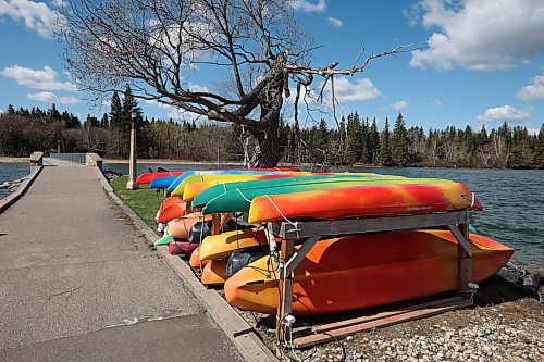 09052024
Kayaks offered for rent at the Clear Lake Marina along the pier in Wasagaming. Parks Canada announced on Thursday that all personal watercraft, including motorized boats, canoes, kayaks and paddle boards, will be banned from use on Clear Lake for the 2024 season as part of work to determine whether invasive zebra mussels have established a presence in the lake.   (Tim Smith/The Brandon Sun)