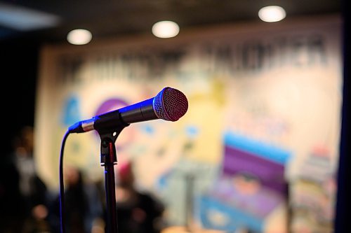 Mike Sudoma/Free Press
A microphone sits on the Handsome Daughters stage in front of a mural Sunday evening
May 12, 2024