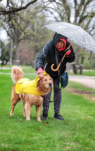 Ruth Bonneville / Free Press

Weather Standup - dog raincoat

A five-year-old, friendly golden retriever named Linus, has his raincoat adjusted by his dog walker, Cheryl McLean, while on their daily walk in the drizzle along Wellington Crescent Tuesday. 

The owners of Linus purchased the raincoat for dogs off Amazon and also done Linus with rain pants and other outdoor attire depending on the weather.  



May 14th, 2024
