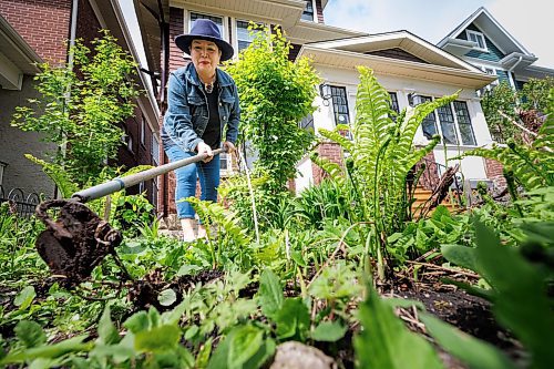 MIKE DEAL / FREE PRESS
Coleen Rajotte, a former CBC-TV journalist of Cree/M&#xe9;tis heritage, shares knowledge of growing traditional foods, gathering plant medicines and cooking garden fresh recipes as host on Vitality Gardening a show on APTN. In both the front and back yard of her home in Wolseley, Rajotte plants everything from fresh herbs to tomatoes to the four sacred medicines and more. 
Season 3 of Vitality Gardening will be airing in June.
See Janine LeGal story
240516 - Thursday, May 16, 2024.