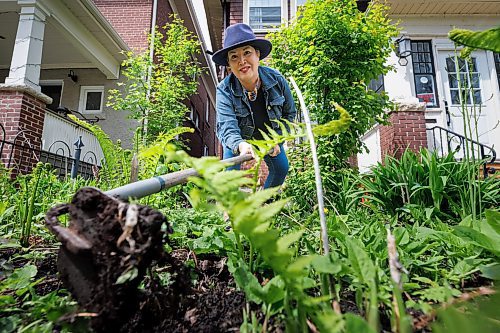 MIKE DEAL / FREE PRESS
Coleen Rajotte, a former CBC-TV journalist of Cree/M&#xe9;tis heritage, shares knowledge of growing traditional foods, gathering plant medicines and cooking garden fresh recipes as host on Vitality Gardening a show on APTN. In both the front and back yard of her home in Wolseley, Rajotte plants everything from fresh herbs to tomatoes to the four sacred medicines and more. 
Season 3 of Vitality Gardening will be airing in June.
See Janine LeGal story
240516 - Thursday, May 16, 2024.