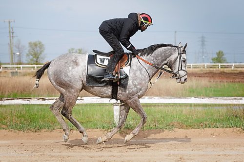 MIKE DEAL / FREE PRESS
Three-time leading jockey, Antonio Whitehall, working Exchequer on the muddy training track Friday morning at Assiniboia Downs.
See George Williams story
240517 - Friday, May 17, 2024.