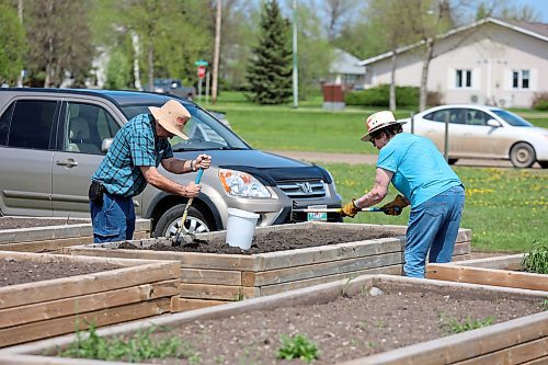 Larry and Jackie Morais are tending a box in the Hummingbird Community Gardens for the first time this year. (Colin Slark/The Brandon Sun)